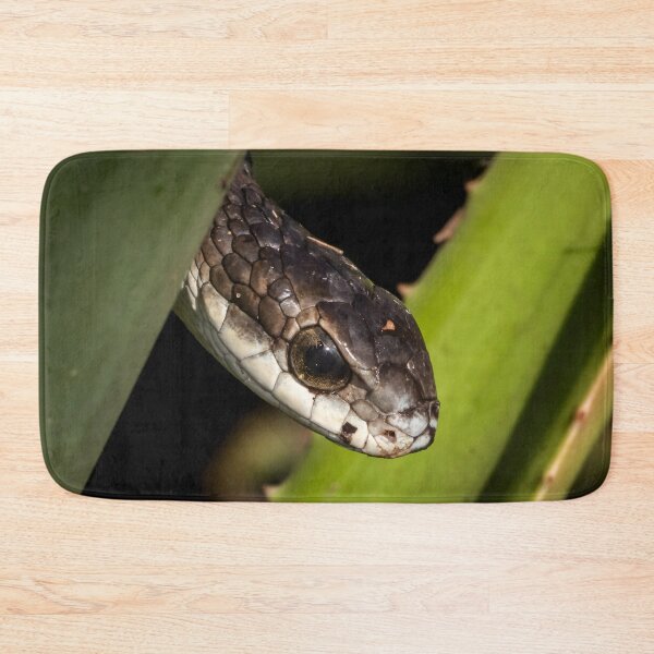 Item preview, Boomslang (Dispholidus typus) designed and sold by Pixel Press Prints.