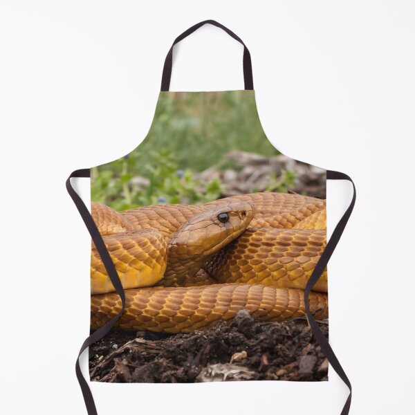 Item preview, Cape Cobra (Naja nivea) designed and sold by Pixel Press Prints.