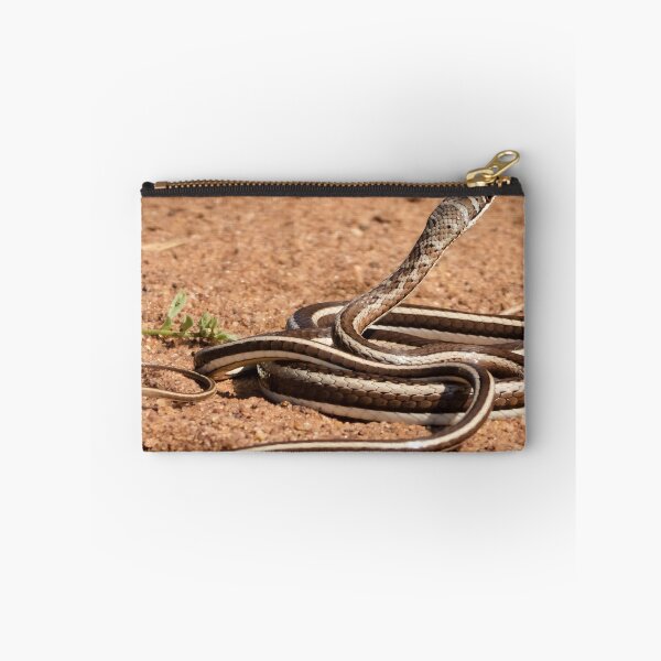 Item preview, Western Yellow-bellied Sand Snake (Psammophis subtaeniatus) designed and sold by Pixel Press Prints.
