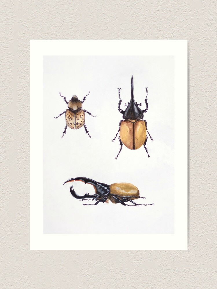 Hercules Beetle Art Print