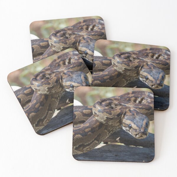 Item preview, Southern African Python (Python natalensis) designed and sold by Pixel Press Prints.