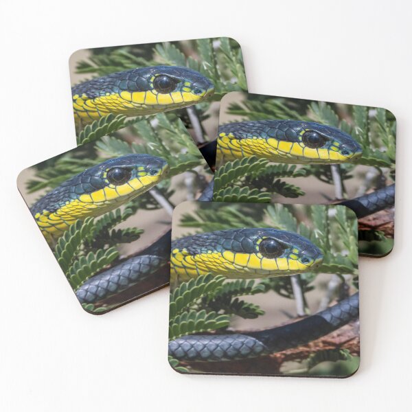 Item preview, Boomslang (Dispholidus typus) designed and sold by Pixel Press Prints.