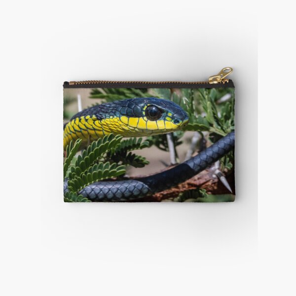 Item preview, Boomslang (Dispholidus typus) designed and sold by Pixel Press Prints.