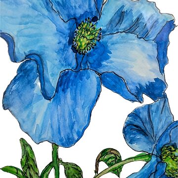 Artwork thumbnail, Himalayan Poppies by ladyinthemitten