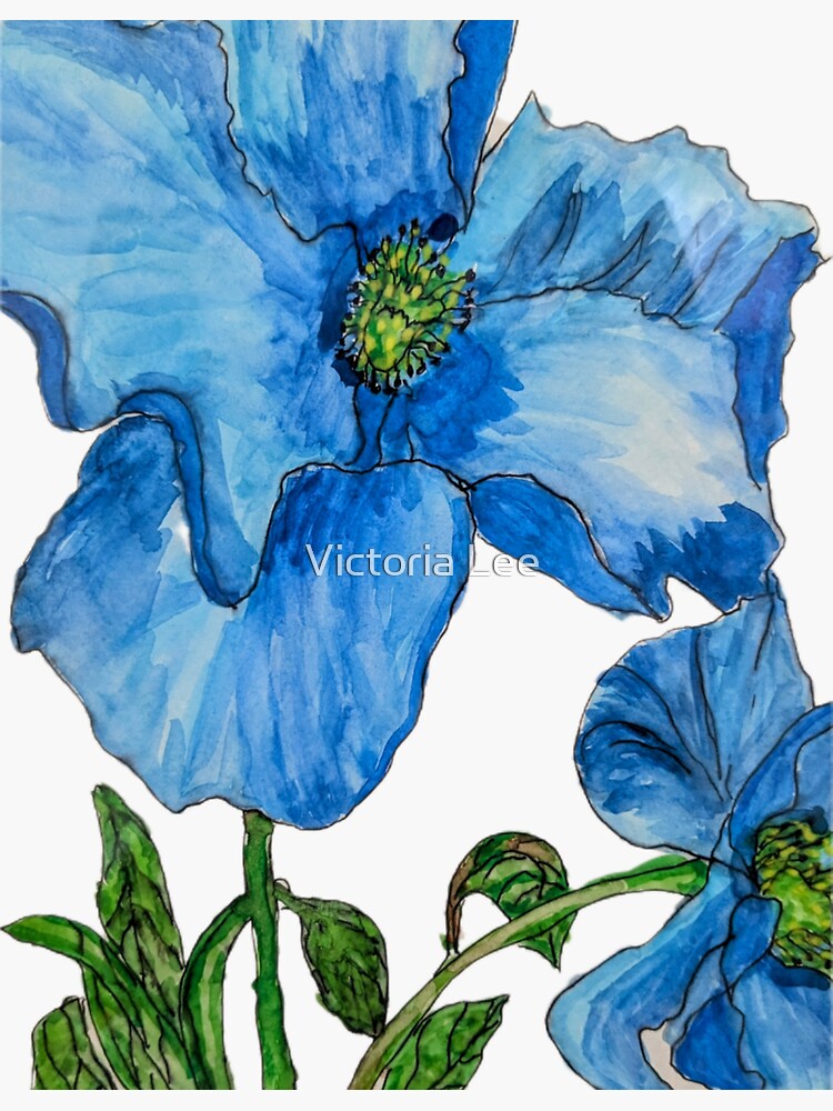 Thumbnail 3 of 3, Sticker, Himalayan Poppies designed and sold by Ladyinthemitten.