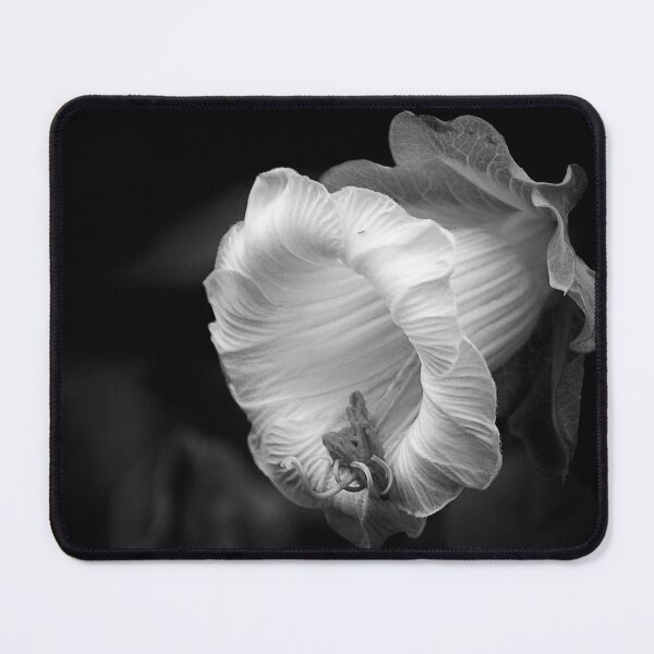 Item preview, Flowers 103 - (c) ben yassa designed and sold by beny .