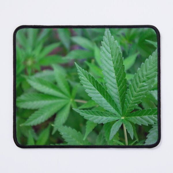 Item preview, Cannabis Leaf Macro designed and sold by Pixel Press Prints.