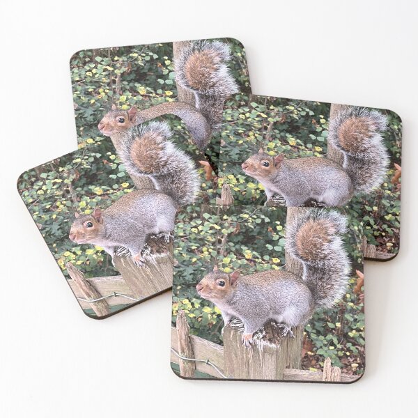Item preview, Squirrel  designed and sold by TerriTextiles.