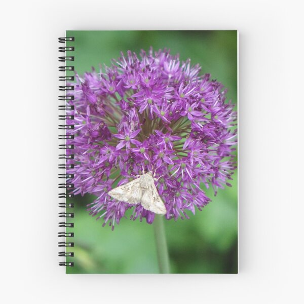 Item preview, Allium and moth designed and sold by frogs123.
