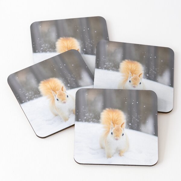 Item preview, White Leucistic Red Squirrel in the Snow designed and sold by James Cumming.