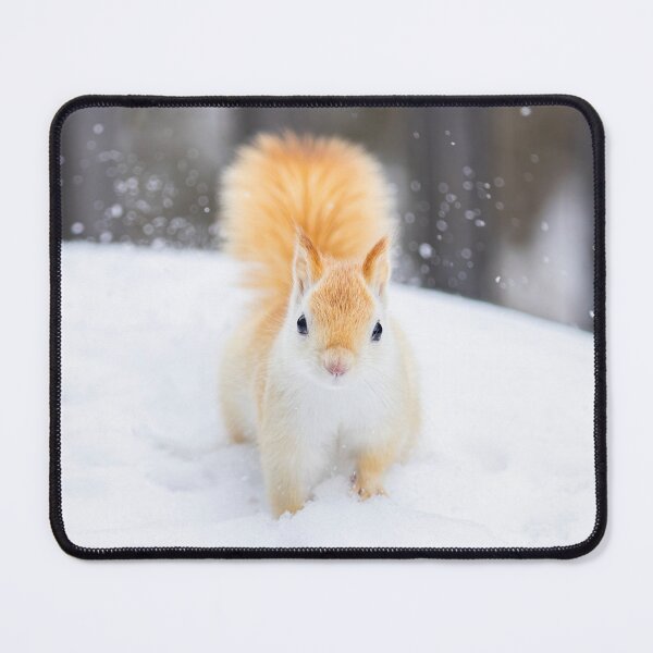 Item preview, White Leucistic Red Squirrel in the Snow designed and sold by James Cumming.