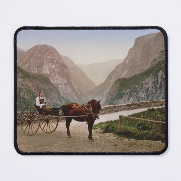 Item preview, Norwegian girl on carriage designed and sold by 19th Century in Color.