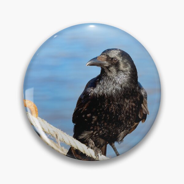 Item preview, Carrion Crow at the Harbour designed and sold by Dorset Girl.