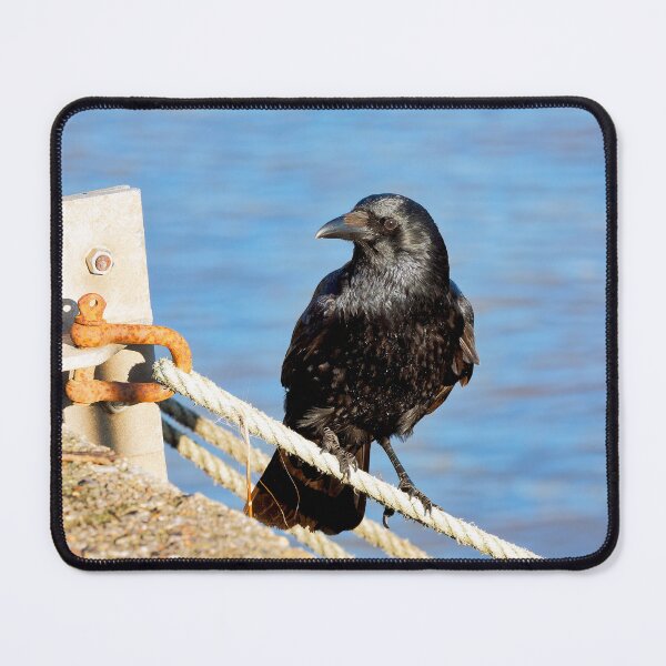 Item preview, Carrion Crow at the Harbour designed and sold by Dorset Girl.
