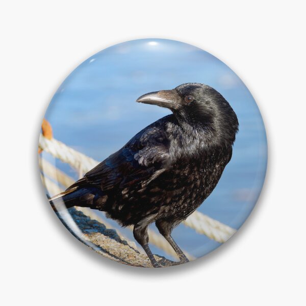 Item preview, Carrion Crow at the Harbour designed and sold by Dorset Girl.