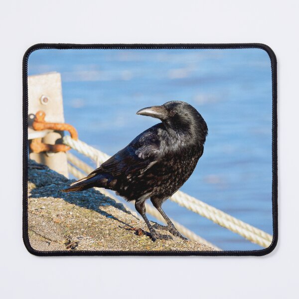 Item preview, Carrion Crow at the Harbour designed and sold by Dorset Girl.
