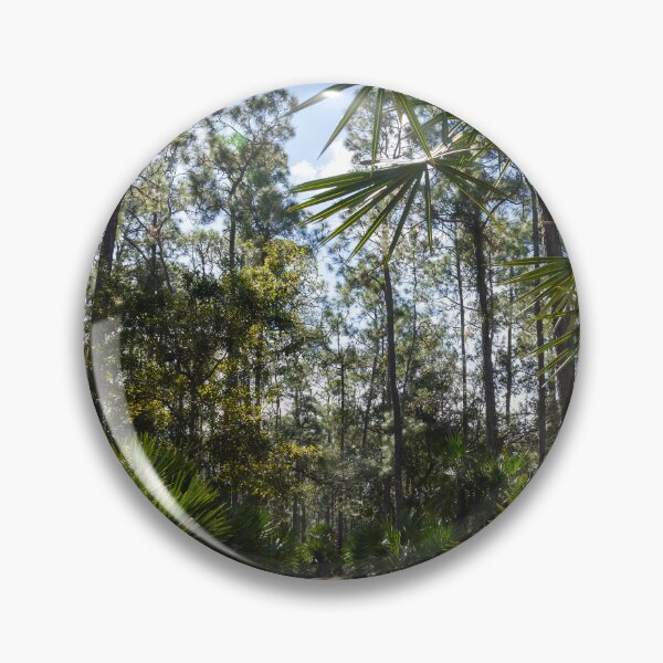 Item preview, Hiking Trail in Moss Park, Orlando, Florida 1 designed and sold by jrtwynam.
