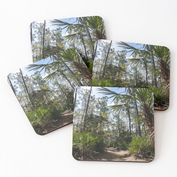 Item preview, Hiking Trail in Moss Park, Orlando, Florida 1 designed and sold by jrtwynam.