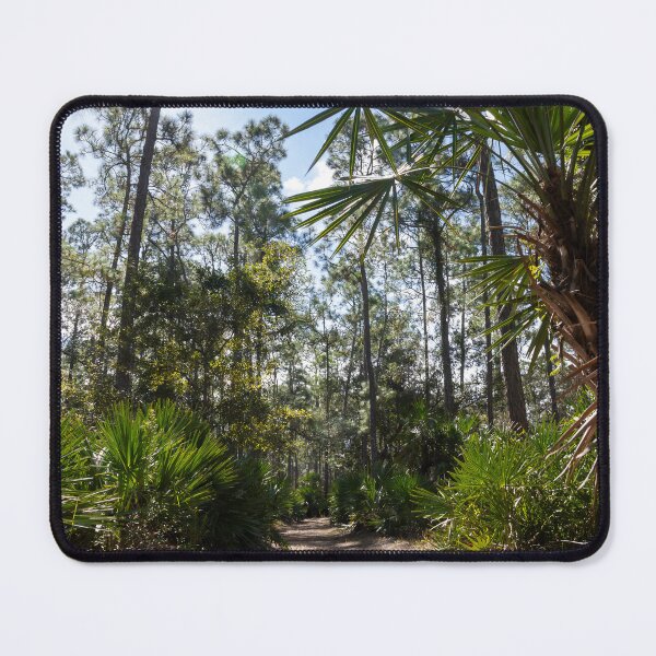 Item preview, Hiking Trail in Moss Park, Orlando, Florida 1 designed and sold by jrtwynam.