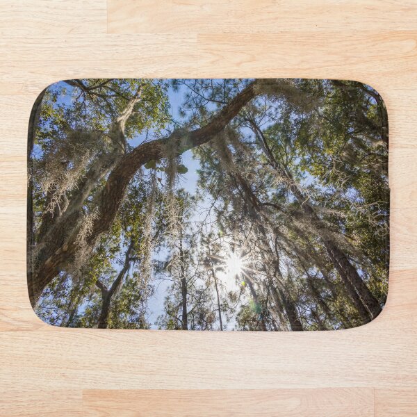 Item preview, Musgo español en Moss Park, Orlando, Florida designed and sold by jrtwynam.