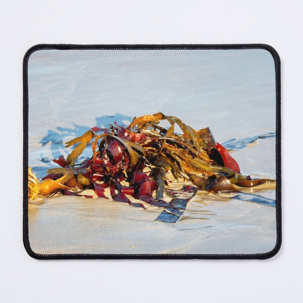 Item preview, Tangled Seaweed on a Sandy Beach designed and sold by Dorset Girl.