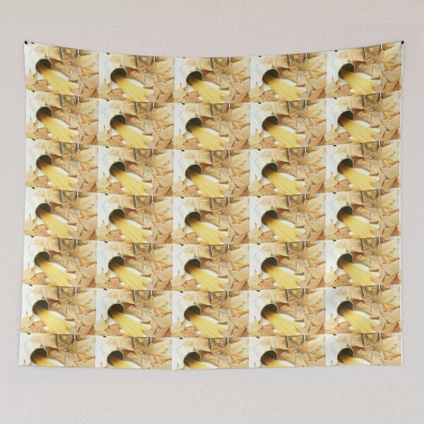 Item preview, Spaghetti or spaghetti on a white background and dried leaves designed and sold by manoloshoping.
