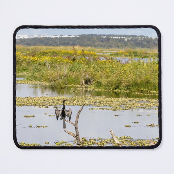 Item preview, Bird on a Branch, Lake Apopka, Orlando, Florida designed and sold by jrtwynam.