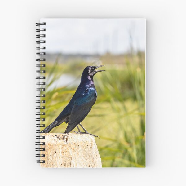 Item preview, Crow Chirping at Lake Apopka, Orlando, Florida designed and sold by jrtwynam.