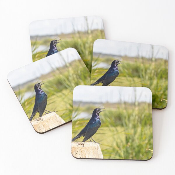Item preview, Crow Chirping at Lake Apopka, Orlando, Florida designed and sold by jrtwynam.