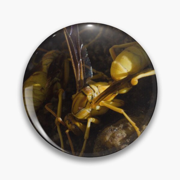 Artikelvorschau, 586 Gelbe Papierwespen Polistes versicolor entworfen und verkauft von ptosis.