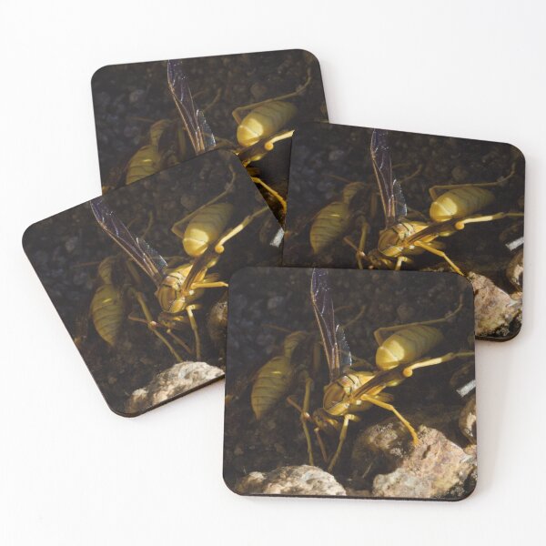 Item preview, 586 Yellow Paper Wasps Polistes versicolor designed and sold by ptosis.