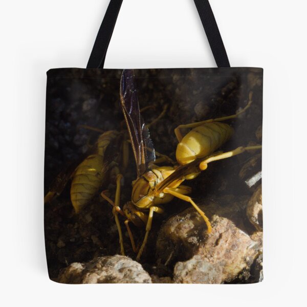 Item preview, 586 Yellow Paper Wasps Polistes versicolor designed and sold by ptosis.