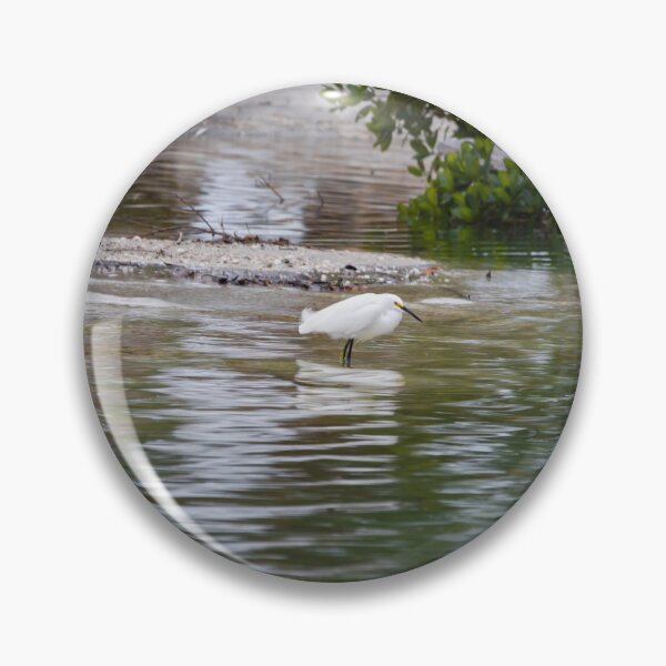 Item preview, A beautifully captured full color photograph of a white seabird fishing near a group of other seabirds in Sarasota Bay designed and sold by EyezWatchin.