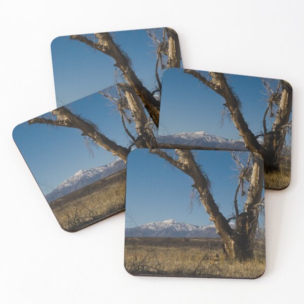 Item preview, 589 Snow Capped Huachuca Mountains as seen from the San Pedro Riperian designed and sold by ptosis.