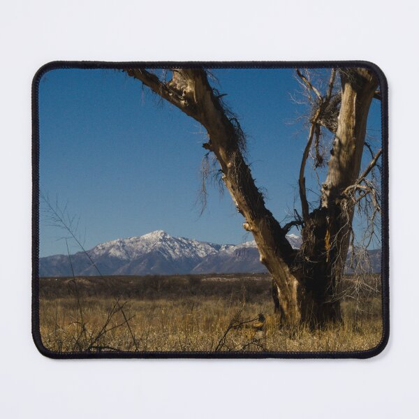 Item preview, 589 Snow Capped Huachuca Mountains as seen from the San Pedro Riperian designed and sold by ptosis.