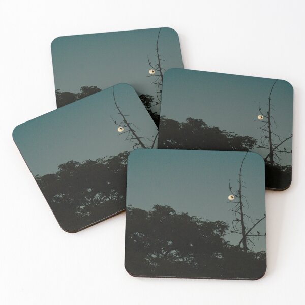 Item preview, 590 Bird Tree Full Moon designed and sold by ptosis.