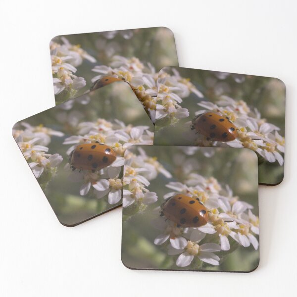 Item preview, 595 Ladybug on white flowers designed and sold by ptosis.