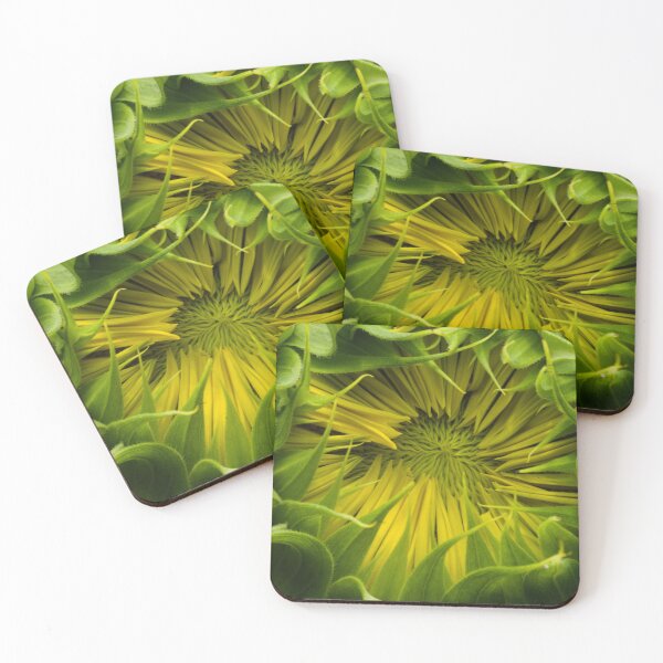 Item preview, 597 Budding Sunflower Macro designed and sold by ptosis.