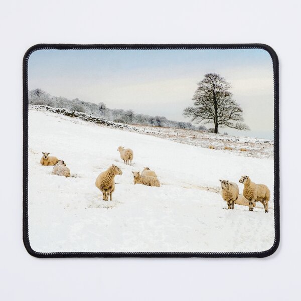 Item preview, Midwinter designed and sold by Geoff Shoults.
