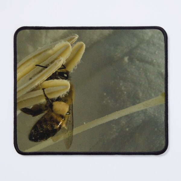 Item preview, 600 Western Honey Bee inside a Devil's Trumpe designed and sold by ptosis.