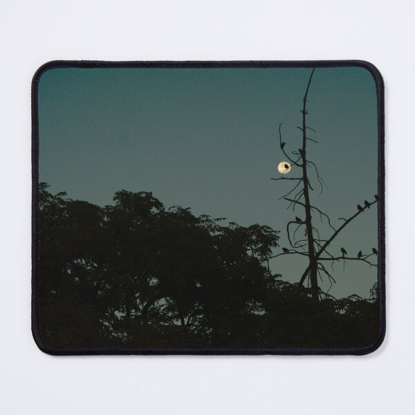 Item preview, 602 Birds  Against the Full Moon on a Bare and Dying Tree. designed and sold by ptosis.