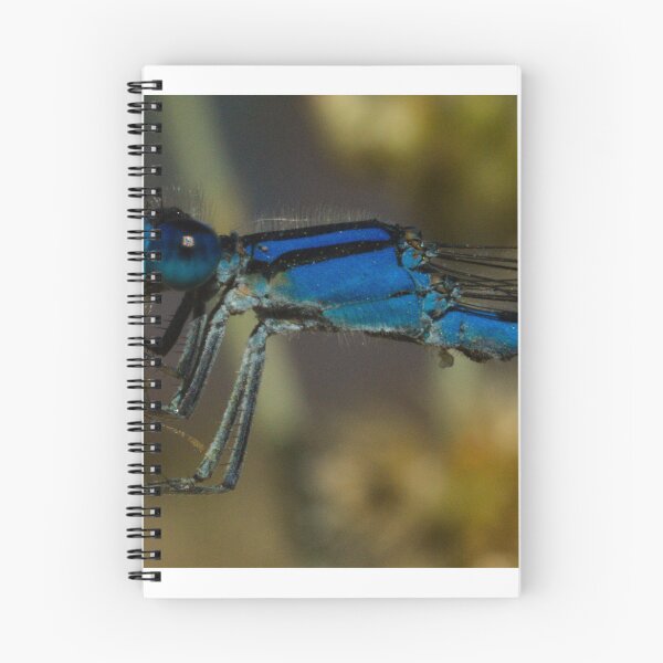 Item preview, 603 Familiar Bluet Familiar Bluet Enallagma civile eating a fly designed and sold by ptosis.