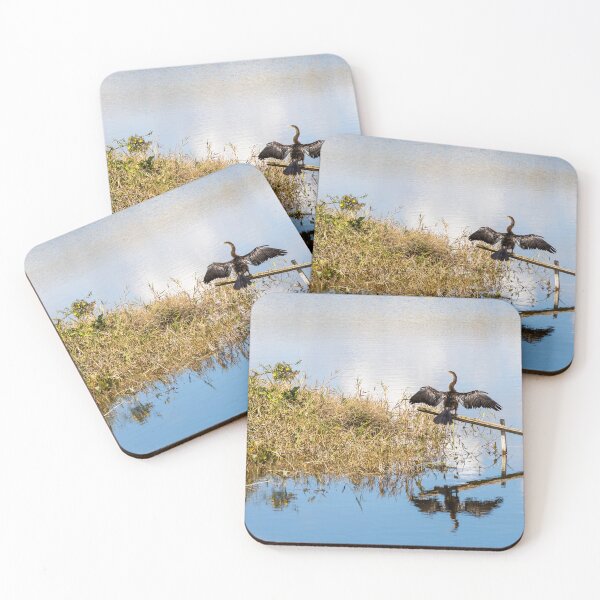 Item preview, Cormorant at Lake Apopka, Orlando, Florida designed and sold by jrtwynam.