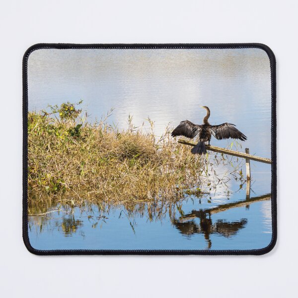 Item preview, Cormorant at Lake Apopka, Orlando, Florida designed and sold by jrtwynam.