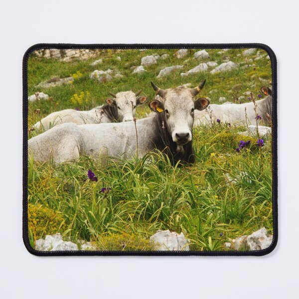 Item preview, The Power of Three designed and sold by maureen bracewell.