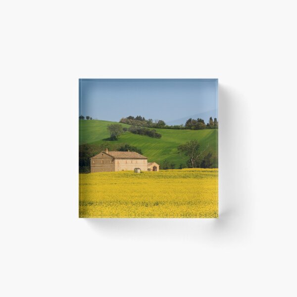 Item preview, Field of Gold designed and sold by maureen bracewell.