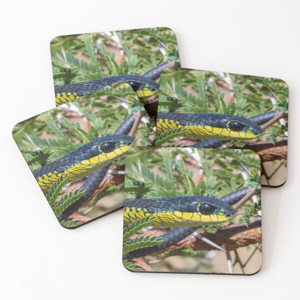 Item preview, Boomslang (Dispholidus typus) designed and sold by Pixel Press Prints.
