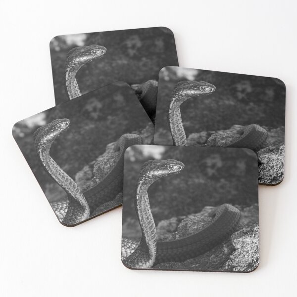 Item preview, Black Spitting Cobra (Naja nigricincta woodi) designed and sold by Pixel Press Prints.