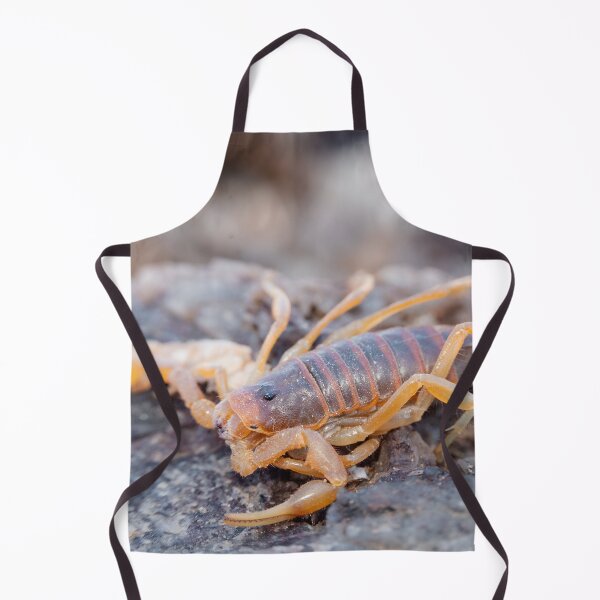 Item preview, Parabuthus Scorpion designed and sold by Pixel Press Prints.