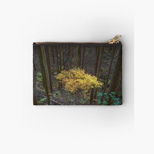 Item preview, Japanese Beech on Toke Trail Mountain Path designed and sold by Pix4Japan.
